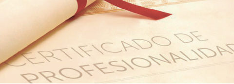 AFELÍN impulsa la acreditación oficial de competencias de los profesionales del sector